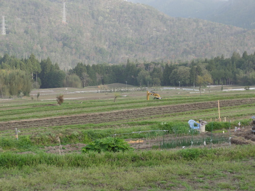f0142721_15211879.jpg