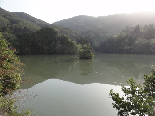 f0142721_15215324.jpg