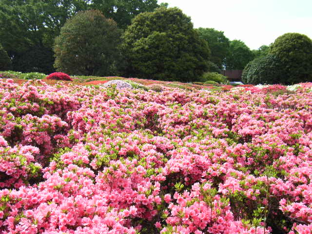e0177824_22311657.jpg