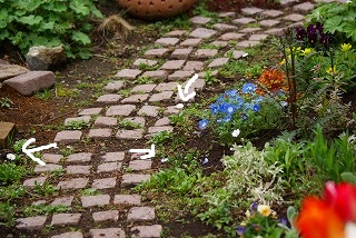 f0170524_1482997.jpg
