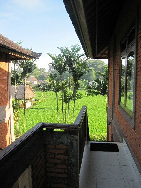 d0133225_10475598.jpg