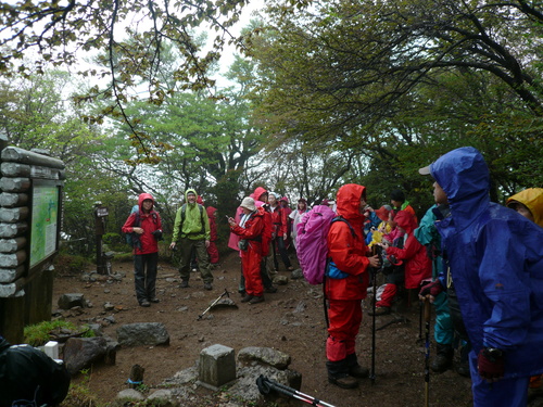 雨の天城山にいってきますた。_a0049226_23463710.jpg