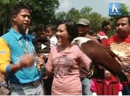 映像：ジャカルタのラグアン動物園稀少動物・鳥パレードをインドネシア語で聞く・見る_a0054926_1933689.jpg