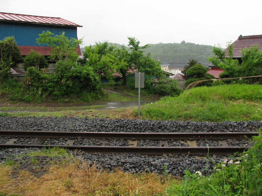 雨の休日_d0121626_1602170.jpg