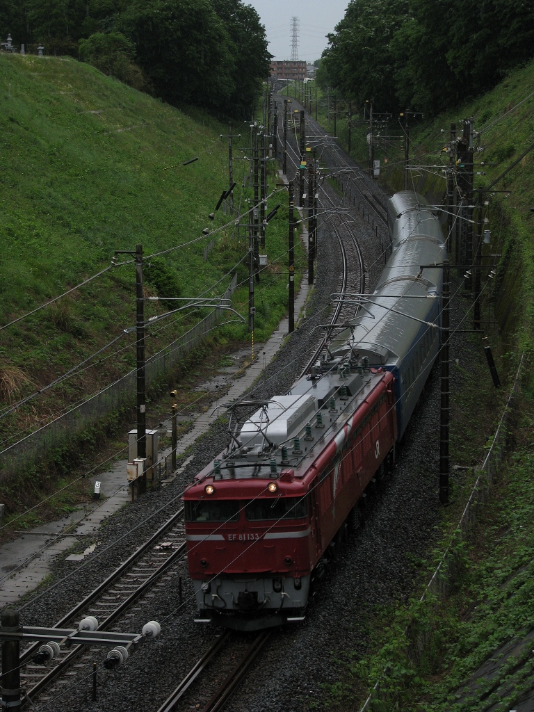 雨の休日_d0121626_1631341.jpg