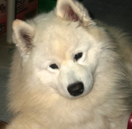 e0024126_2338139.jpg