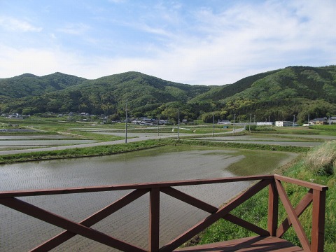 e0202031_21405522.jpg
