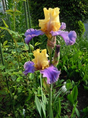 e0097534_18262031.jpg