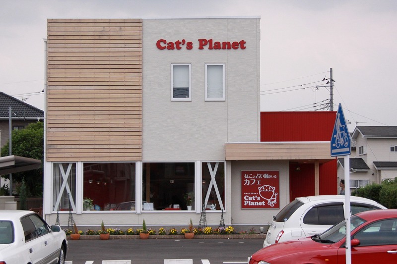 高崎市高崎「ねこと占い師がいるCafe　Cat\'s Planet」_d0167436_7515230.jpg