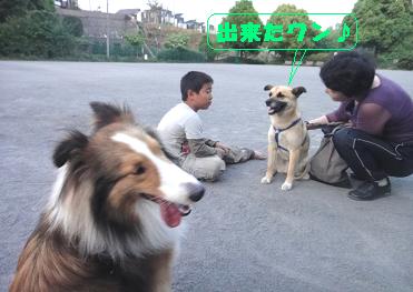ボクもお座り出来たから頂戴ワン♪_e0195743_011567.jpg