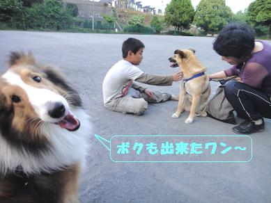 ボクもお座り出来たから頂戴ワン♪_e0195743_012362.jpg