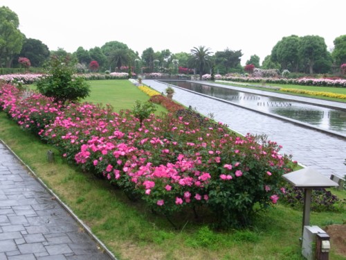 d0191844_20432125.jpg
