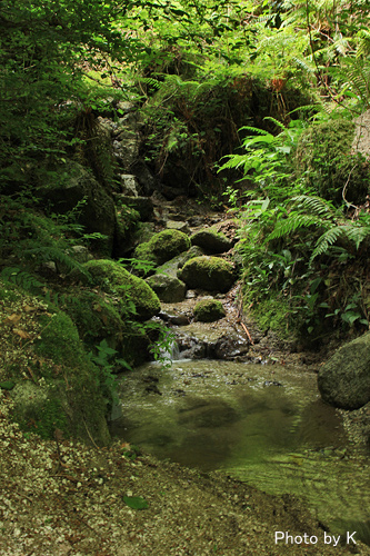 c0127748_171556.jpg