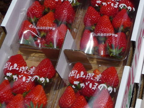 【5月21日(土)】路地市庭#02…。_c0221349_13364920.jpg