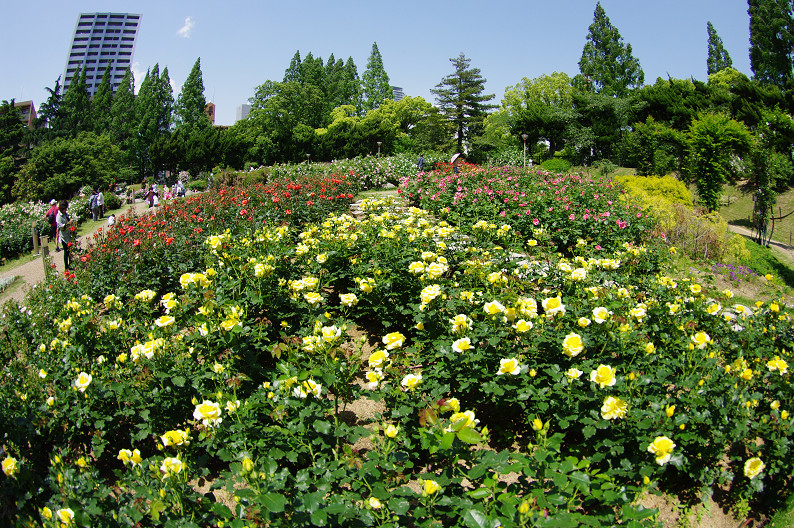 f0152550_22485319.jpg