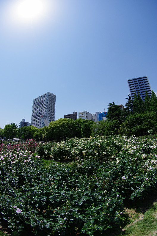 f0152550_22485857.jpg