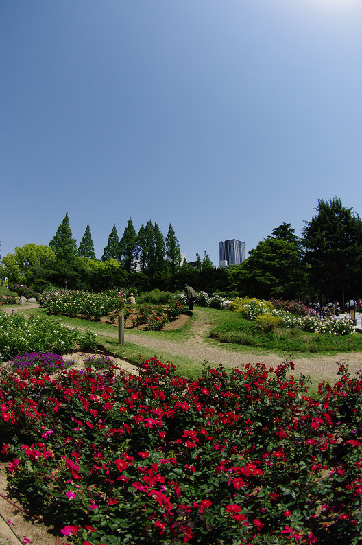 f0152550_22492524.jpg