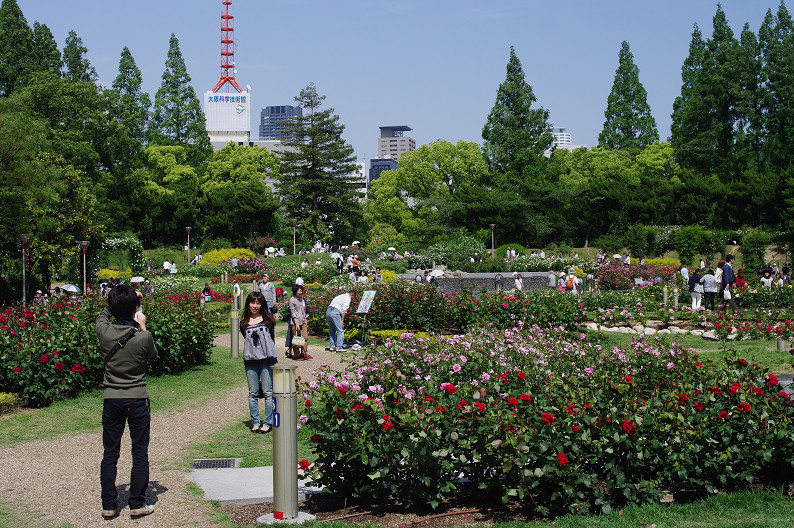 f0152550_22495896.jpg