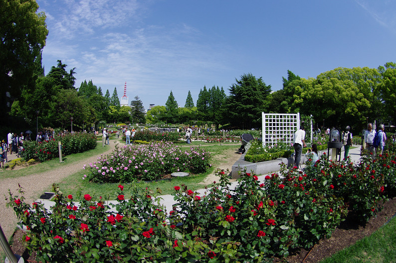 f0152550_2250521.jpg
