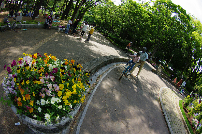 f0152550_22515453.jpg