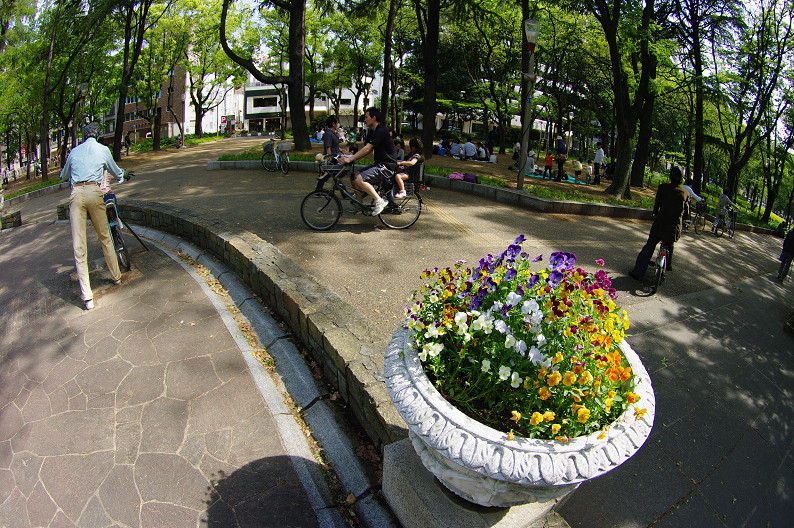f0152550_2252773.jpg