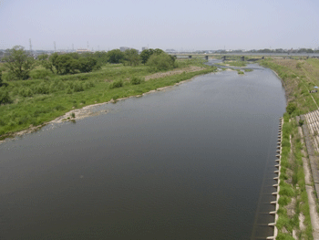 a0044453_8231235.gif