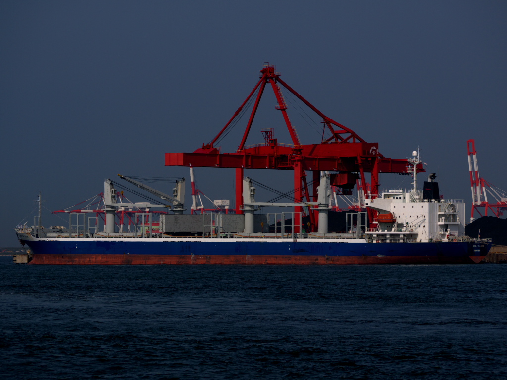 d0217053_1374460.jpg