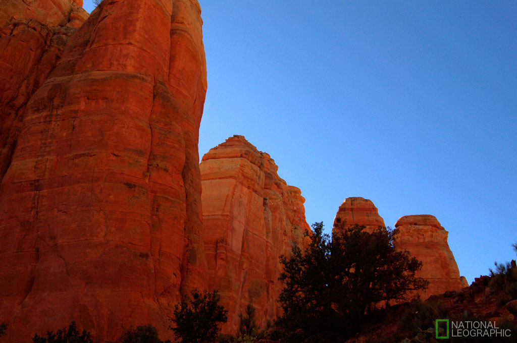 a0190559_10374980.jpg