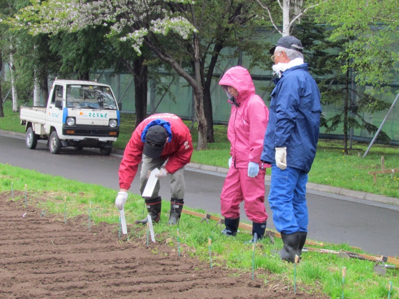 さとらんど蕎麦栽培収穫加工_b0144560_11575888.jpg