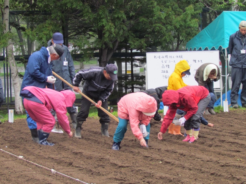 さとらんど蕎麦栽培収穫加工_b0144560_11583177.jpg