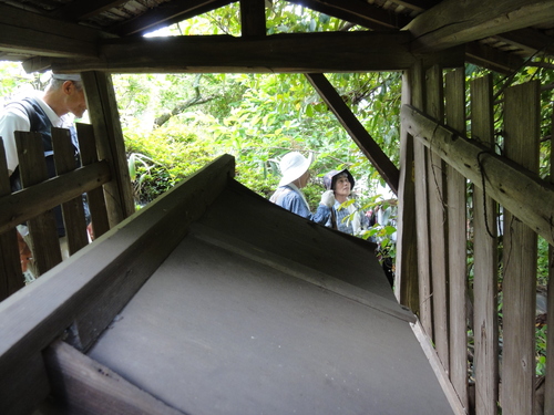 熊野古道「伊太祁曽⇒海南駅」_c0108460_3592726.jpg