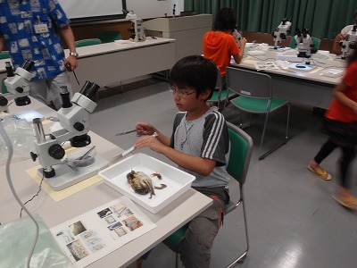 c0180460_2112729.jpg