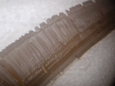c0180460_2141555.jpg