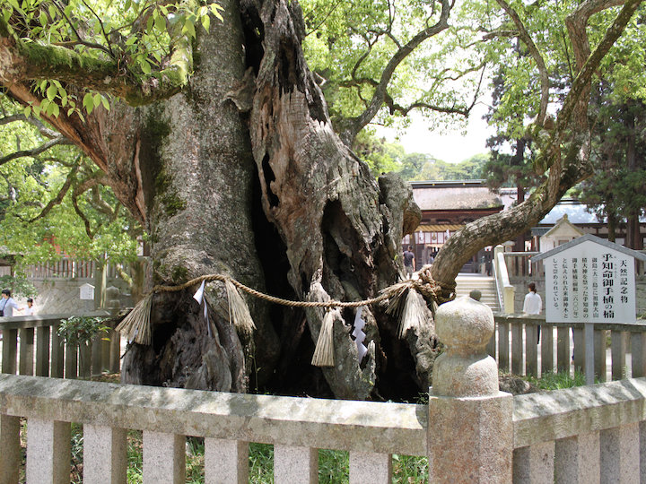 c0178561_1540199.jpg
