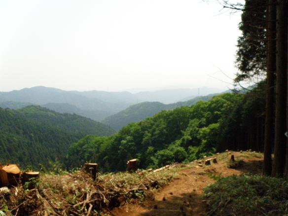 e0136962_928682.jpg