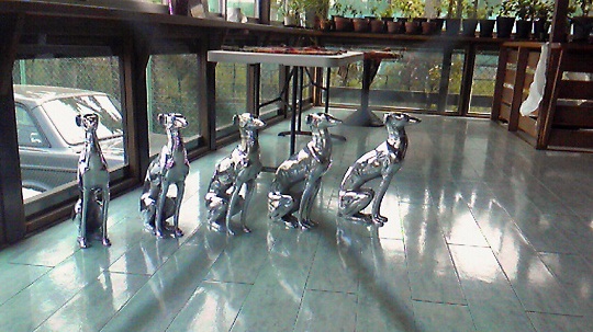 e0062371_10266.jpg