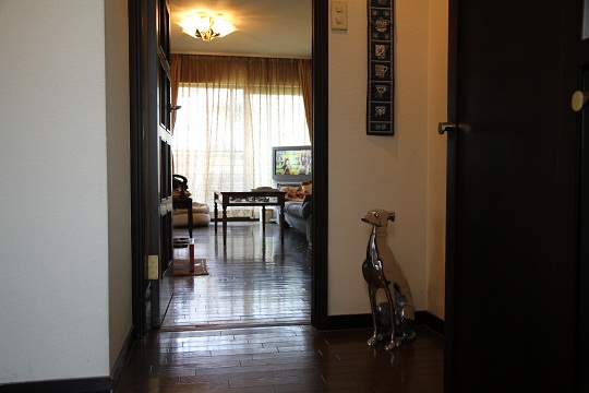 e0062371_10301.jpg