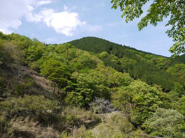 a0207672_21514260.jpg
