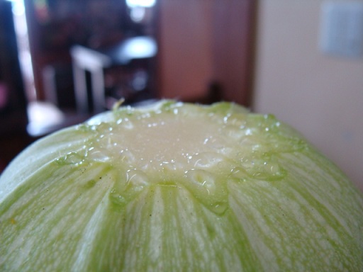本日のお野菜♪_a0195373_2351023.jpg