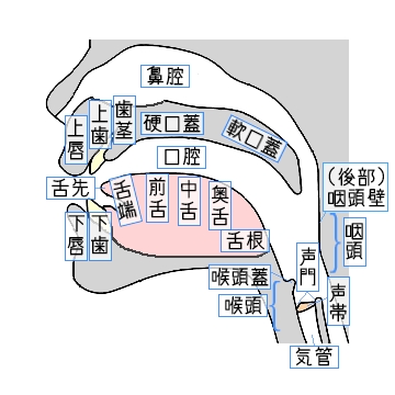 ハングルのヒミツ : 中華 状元への道