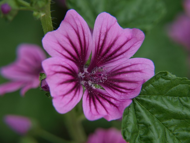d0054276_20235959.jpg