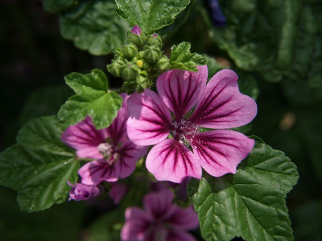 d0054276_20242133.jpg