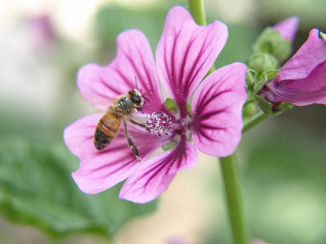 d0054276_20243625.jpg