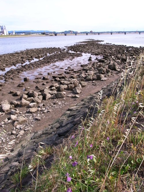 e0222883_21315411.jpg