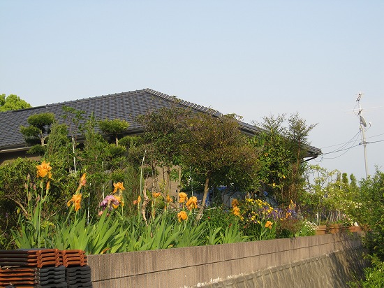 b0182884_11569.jpg