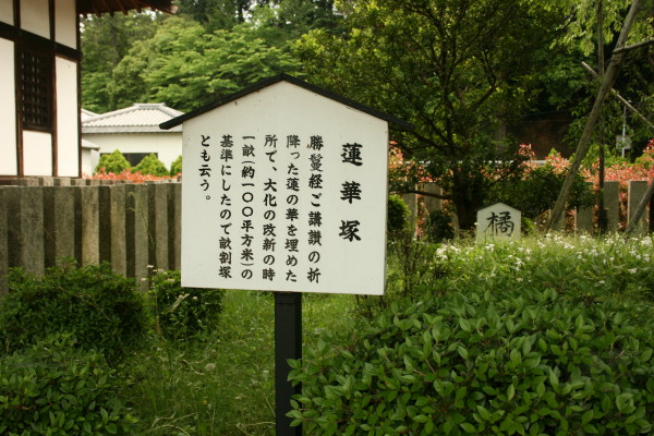 奈良散策記 その4 橘寺_b0118987_10305181.jpg