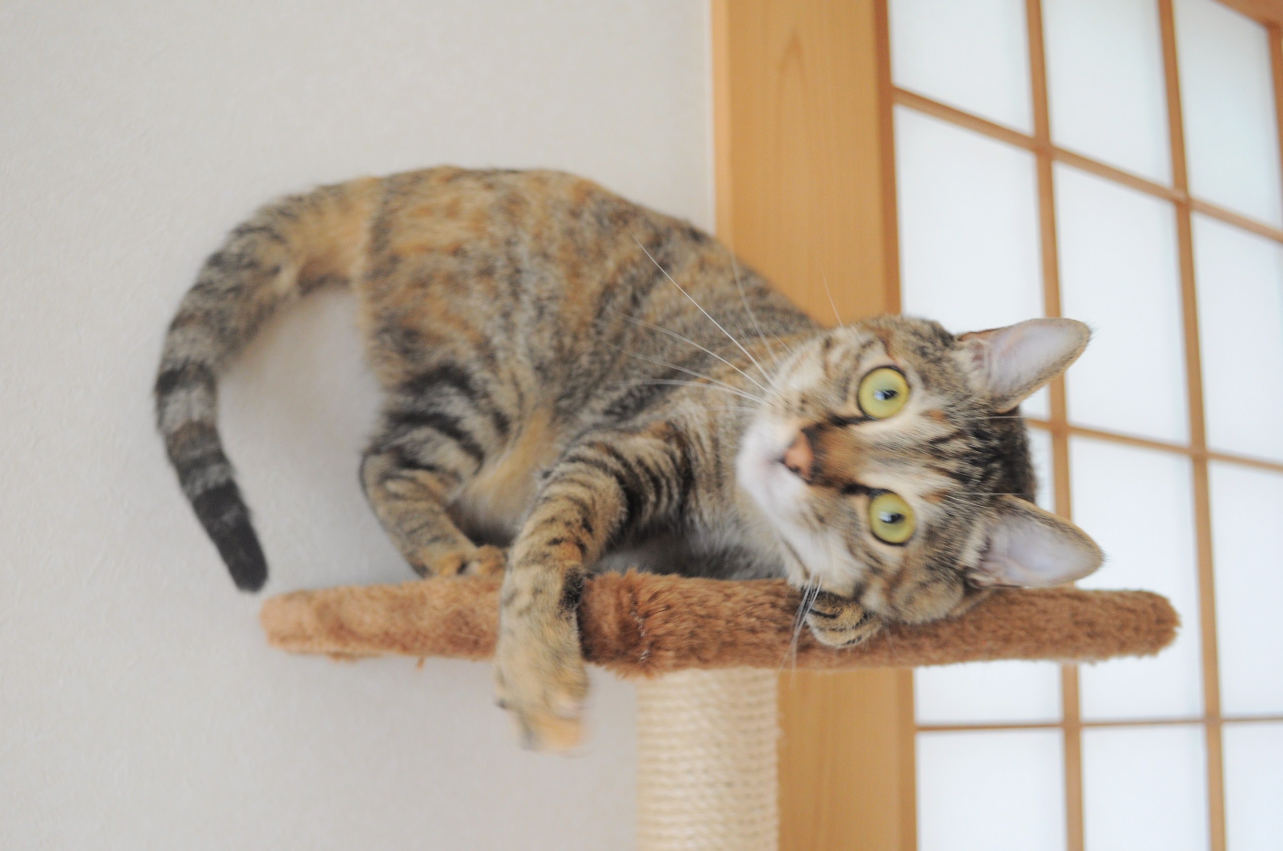 スレスレの幸せ_a0126590_23215222.jpg