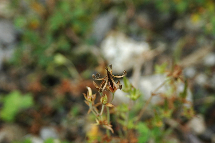 b0217090_20261379.jpg
