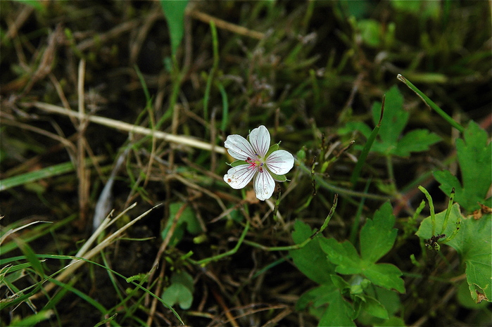b0217090_20262466.jpg