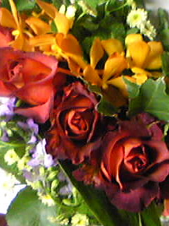 f0223290_8161943.jpg